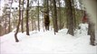 Bris, østsibirsk laika på 9 måneder finner en flokk med hjort. Og hun bærer kamera :-)