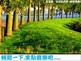 王芷蕾 - 台北的天空 (鋼琴獨奏)
