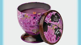 PAJOMA 62405 Dufkerze Lavender Ivory WoodWick Gallery Collection 240 g