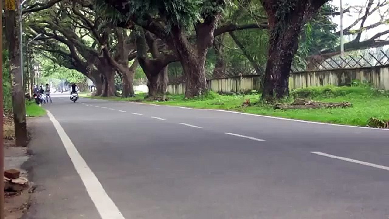 funny video