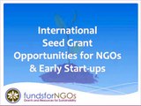 International Seed Grant Opportunities for New NGOs & Early Start-ups