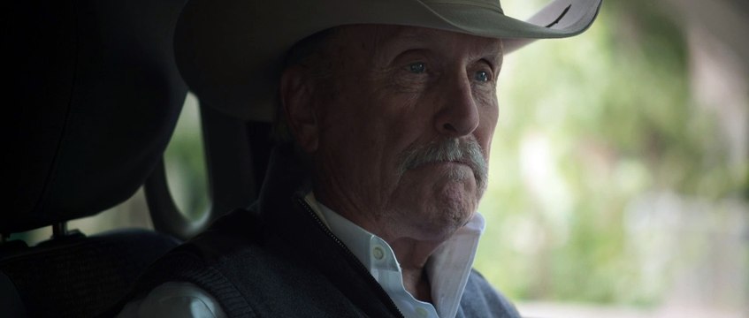 Дикие лошади Wild Horses, 2015 Фрагмент