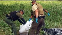 Illegal immigrants crossing into U.S. are dying from summer heat