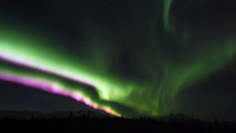 Lights in Motion: Aurora of Denali (Watch Fullscreen HD)