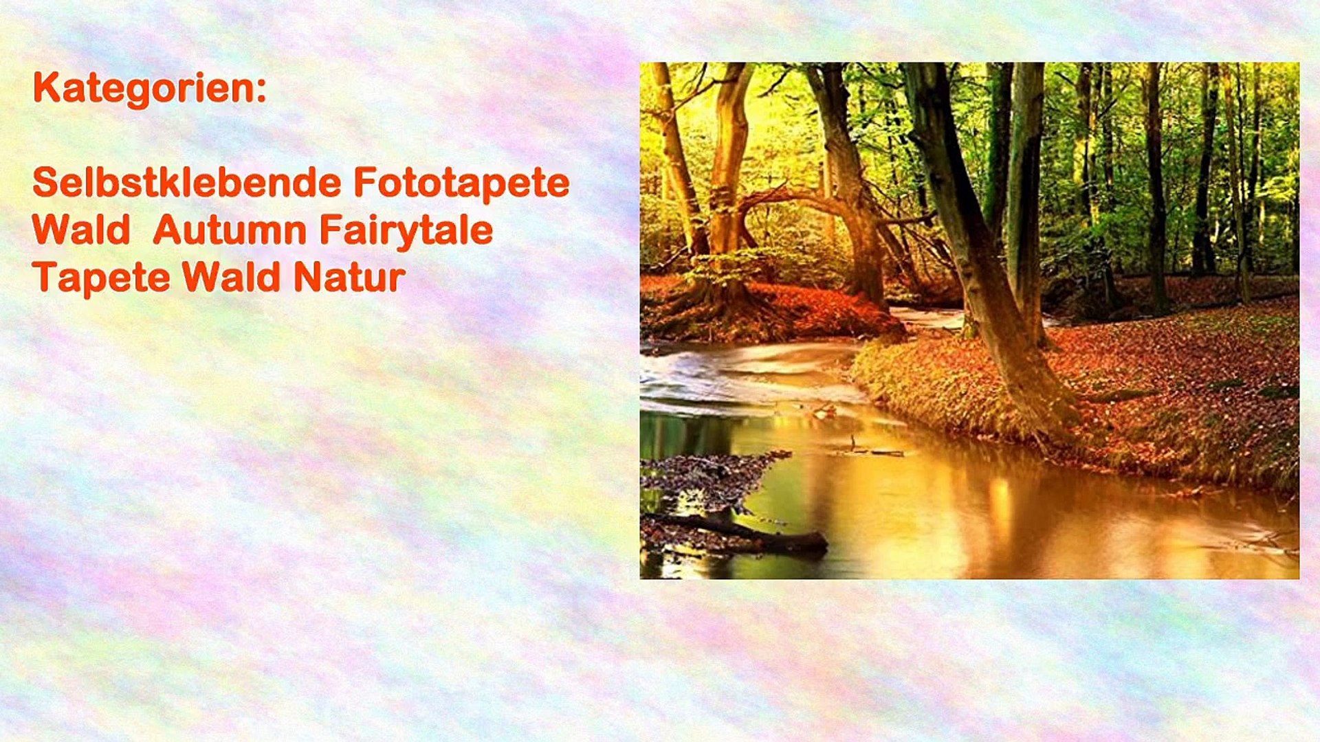 Featured image of post Fototapete Wald Selbstklebend : Entdecken sie unsere fototapeten und bestellen sie jetzt zu geben sie ihrem wohnraum einen neuen ausblick auf den wald mit unserer fototapete.