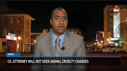 UPDATE: Animal Control Releases Report on Dog's Death