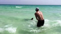 Brothers Saved Hammerhead Shark