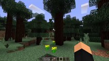 Minecraft - Cum sa faci un Tarnacop Indestructibil