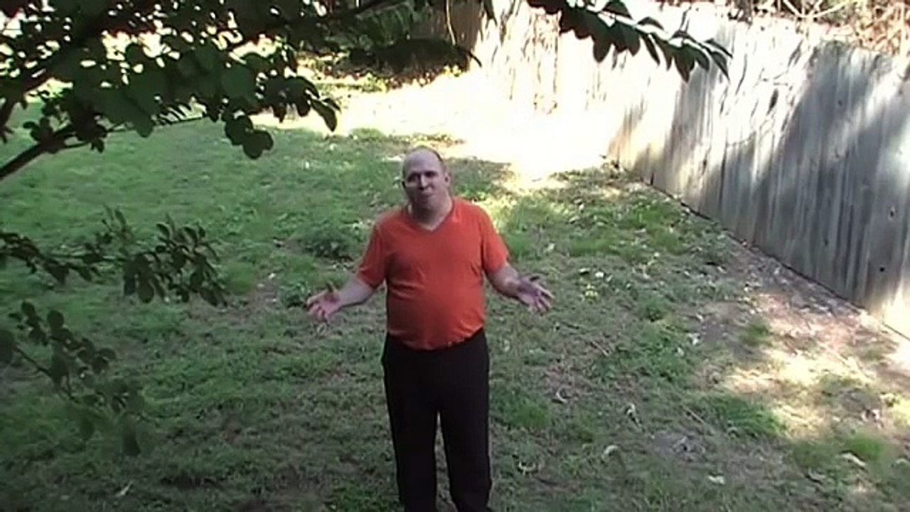 Myotonia Congenita - Its Not Just About Fainting Goats