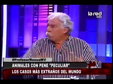 Animales con pene peculiar . Casos extraños en el mundo