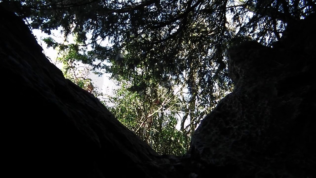 Extreme Caving in Burrington Combe