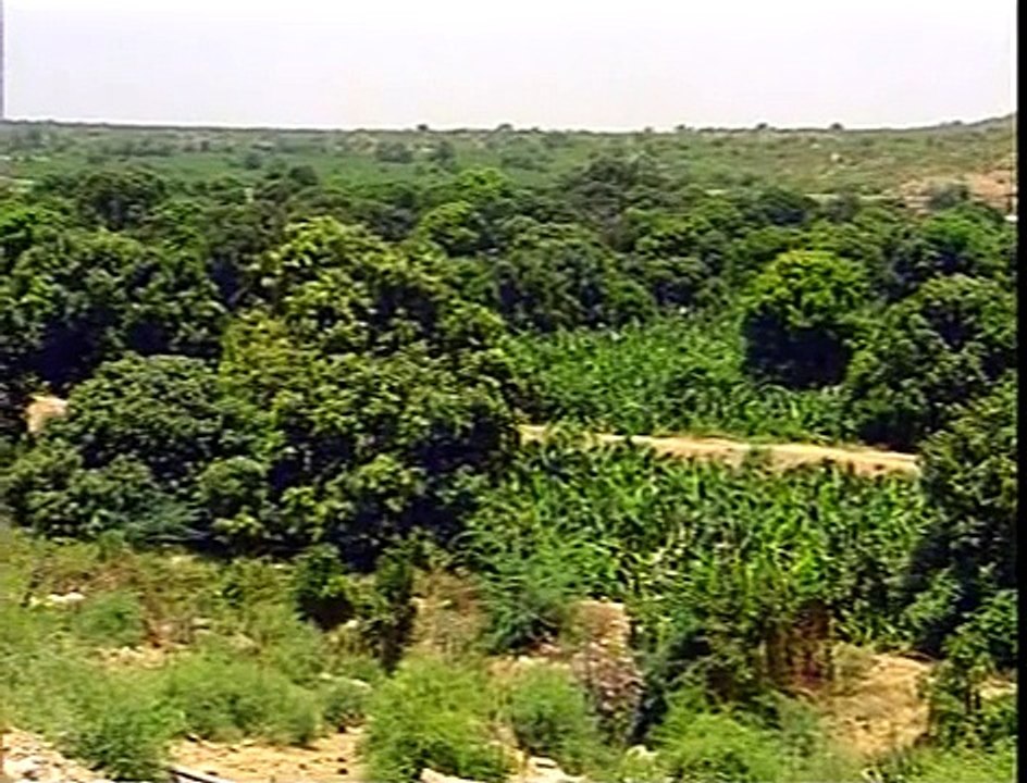 وادي زبيد