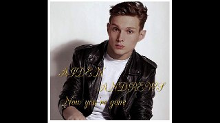 Aiden Andrews   NEW ALBUM - Now you're gone