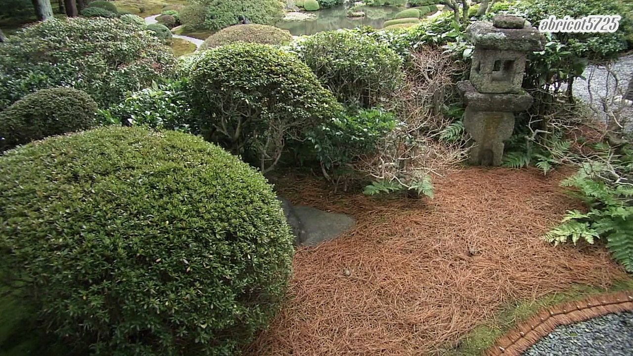 Japanese Garden - Around Nanzen-ji temple, Kyoto (Winter)