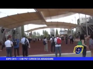 EXPO 2015 | I cibi più curiosi da assaggiare