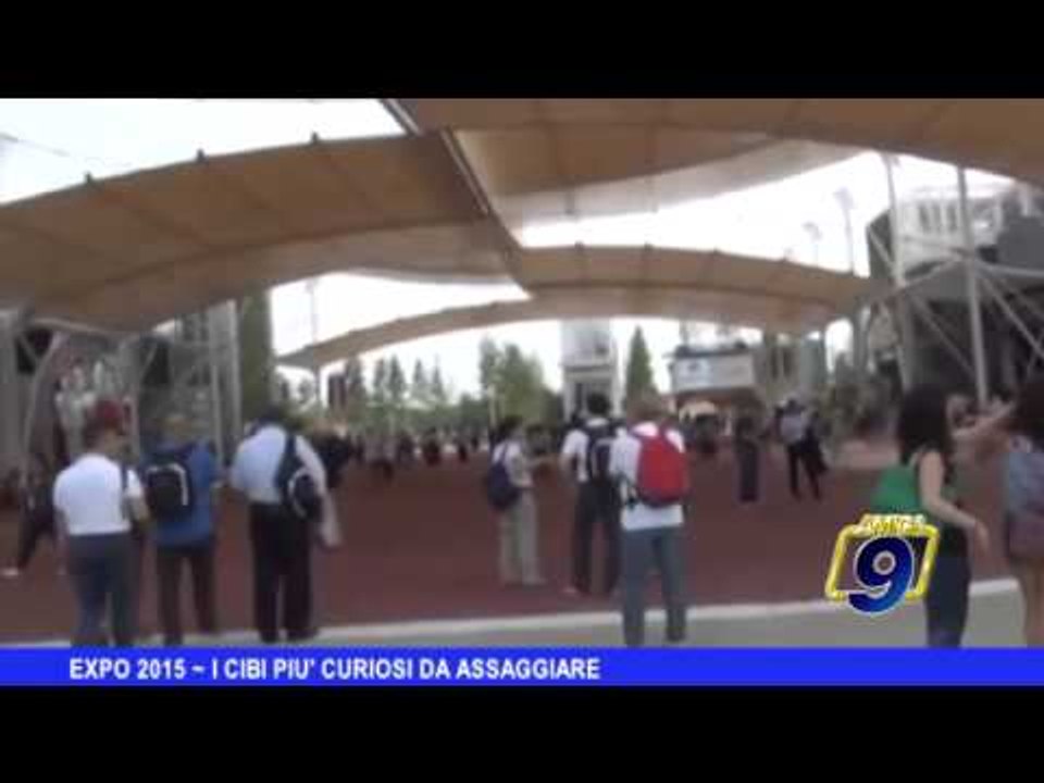 EXPO 2015 | I cibi più curiosi da assaggiare
