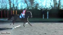 Perfect Polework: Adjusting the Stride, and Improving Rhythm and Balance | HorseandRider UK