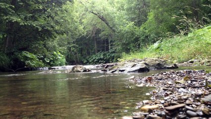 2015.7.25  Mountain stream fishing Hokkaido Japan