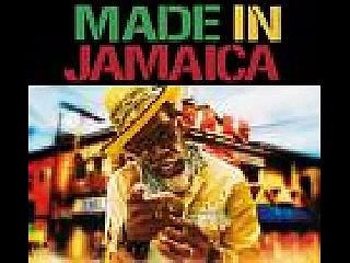 Elephant Man - Log On (Liquid Riddim)