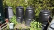 Building Soil through Composting in the Permaculture Garden