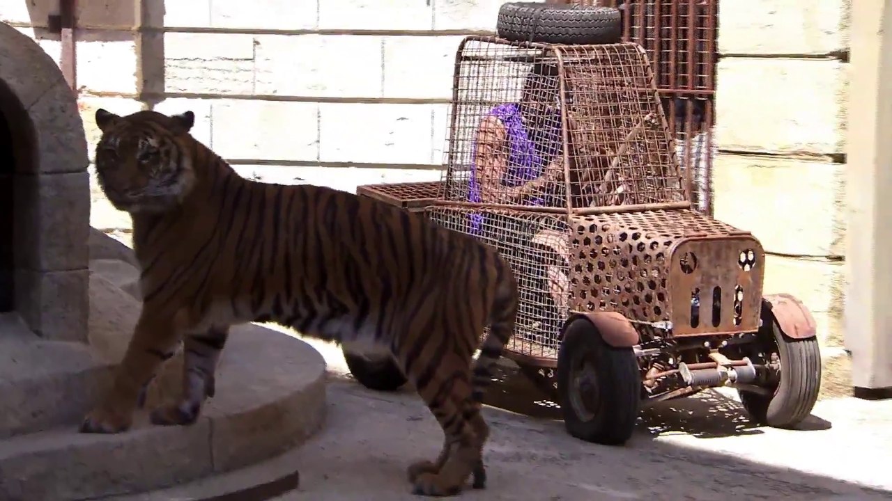 Tony Parker and Boris Diaw had a close encounter with a tiger on a French game show