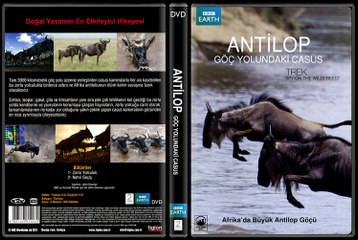 belgesel - BBC - ANTİLOPLAR GÖÇ YOLU - bölüm 1