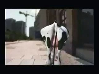 I LIke Moo Moo