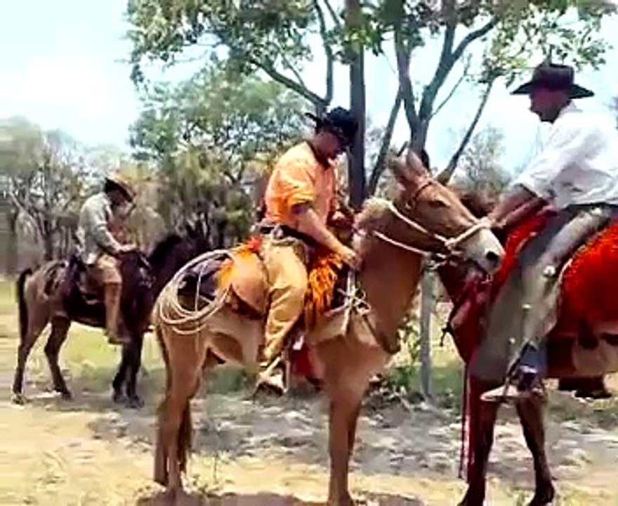 burro pulador
