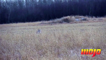 One shot   one kill with Mojo Fatal Shot