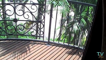 Casa na Florida em Boca Raton por U$5,900,000 com acesso ao mar (4/4) tvBia.com