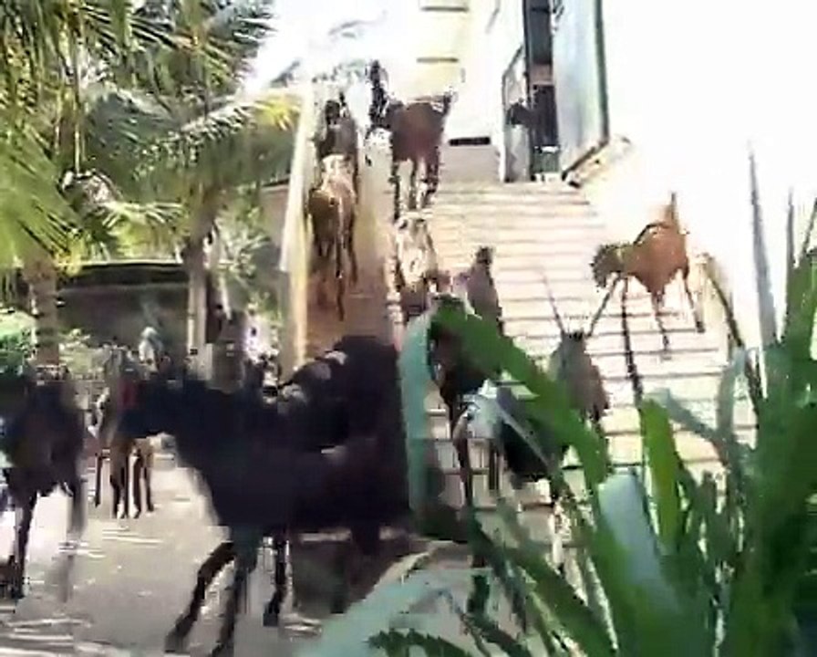 Amma Bhagawan Goat Farm, Mysore