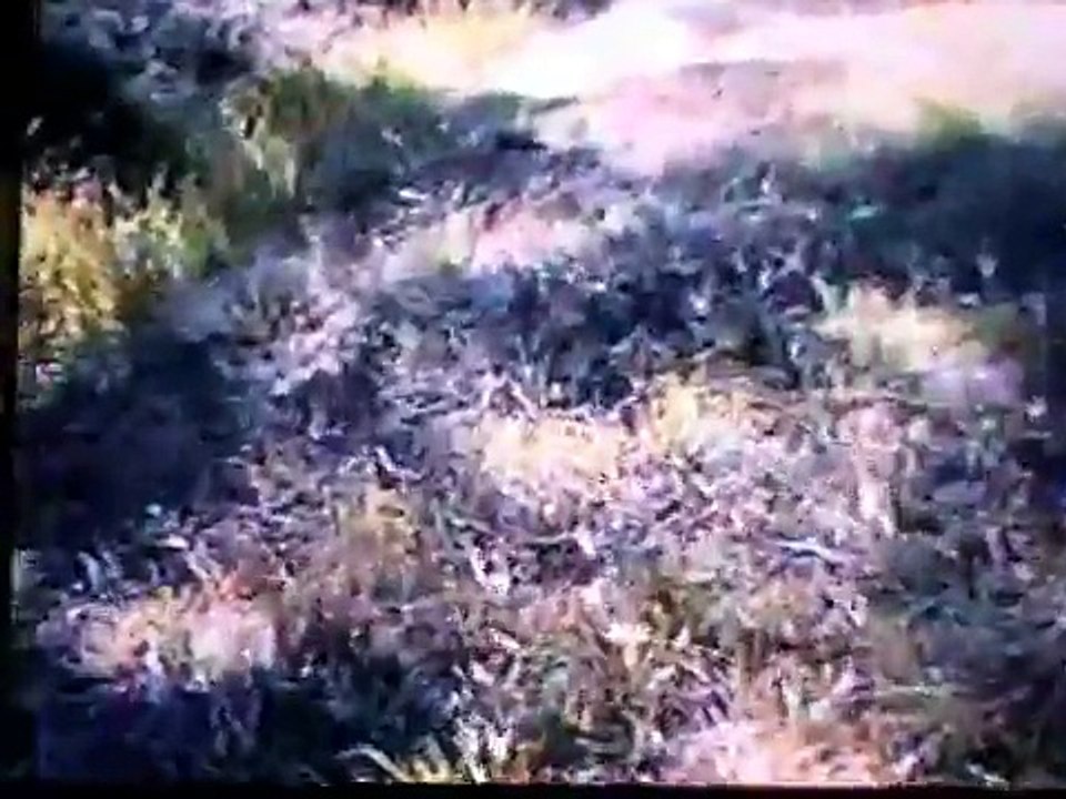El Chupacabra video