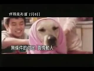 伴我走天涯Hearty Paws