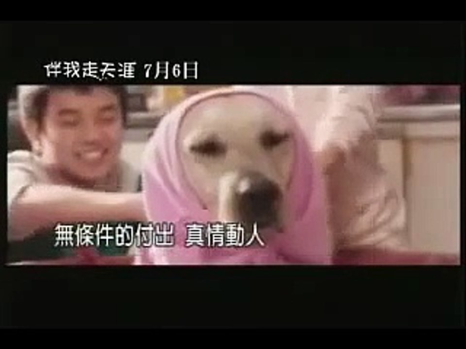 伴我走天涯Hearty Paws