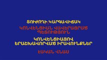 (HYE) The correct way to lodge an application with the Court (Armenian Version)
