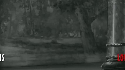 Charlie Chaplin - Limelight - Spring Song of Love