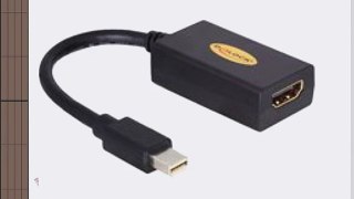 DELOCK DisplayPort mini Adapter (19-polig HDMI 018 m) schwarz
