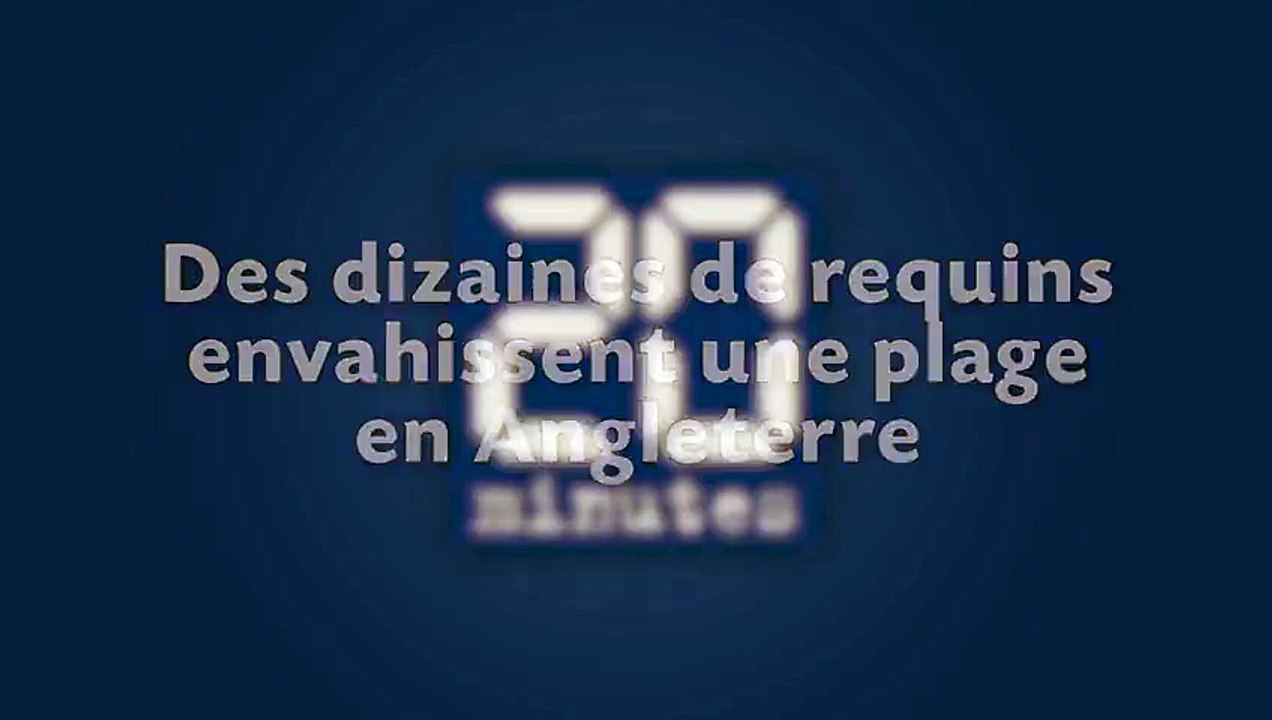Plusieurs dizaines de requins envahissent les plages anglaises