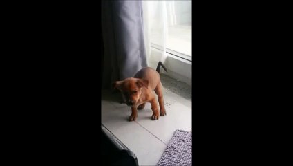 The Most Painful Poop Ever