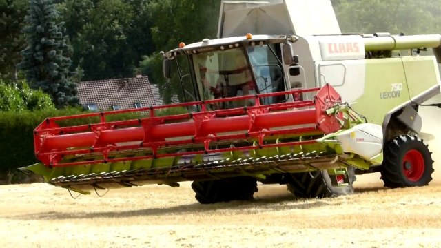 Moisson 2015 orge et blé - Claas lexion 750