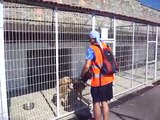 Pedal Sesi Tuzla Rehabilitasyon Merkezi Köpek Barınağı Destek Gezimiz (: