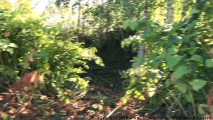 Fraser River Offleash Dog Park - Vancouver BC
