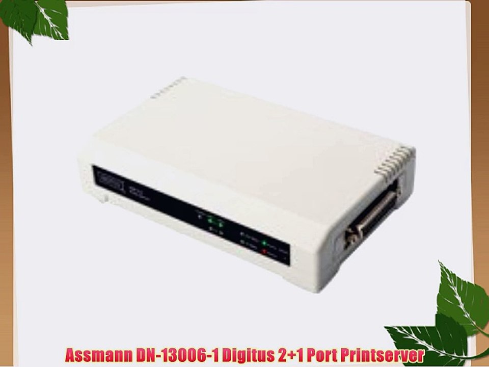 Assmann DN-13006-1 Digitus 2 1 Port Printserver