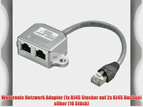 Wentronic Netzwerk Adapter (1x RJ45 Stecker auf 2x RJ45 Buchse) silber (16 St?ck)
