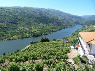 La vallée du Douro au Portugal ( HD )