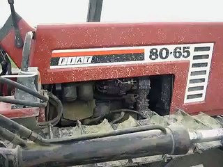 trattore cingolato fiat 8065