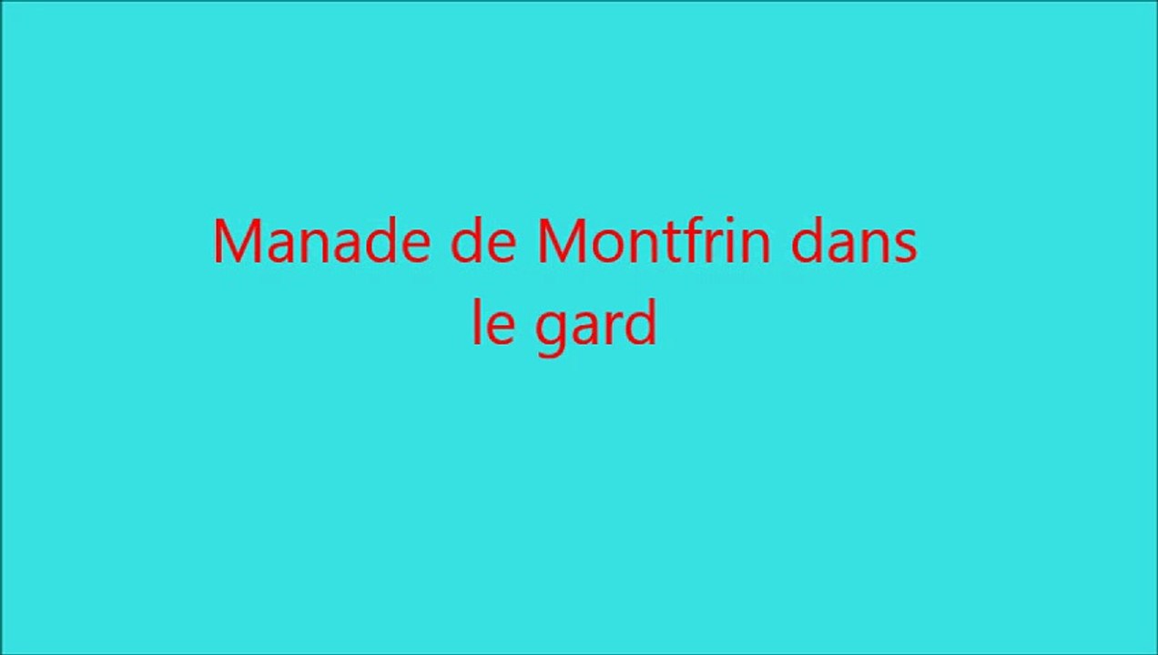Manade de Montfrin 30