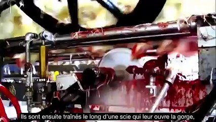 Personne n’arrive à regarder cette vidéo jusqu’à la fin. Vous n’y arriverez pas non plus!