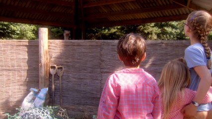 What We Did on Our Holiday (2014) - Trailer (Full HD / 1080p)