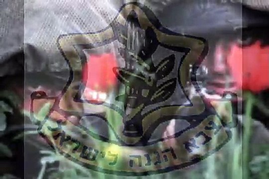 IDF - IsraeL Defence Forces